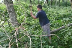 So-La 2012_Arvigo (7)