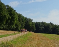 So-La-2018_Magden-AG-119