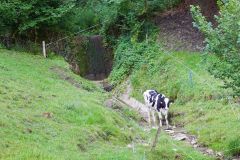 SoLa2023_Woelfe_Malters-49