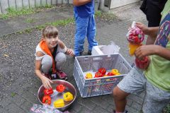 SoLa2023_Woelfe_Malters-86